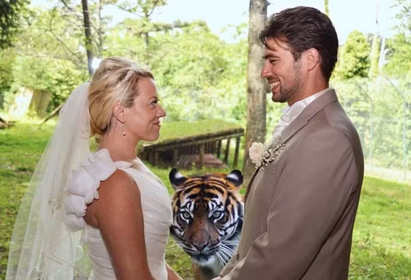 Đám cưới do chúa sơn lâm ta chủ trì, nhất định hạnh phúc à nha!