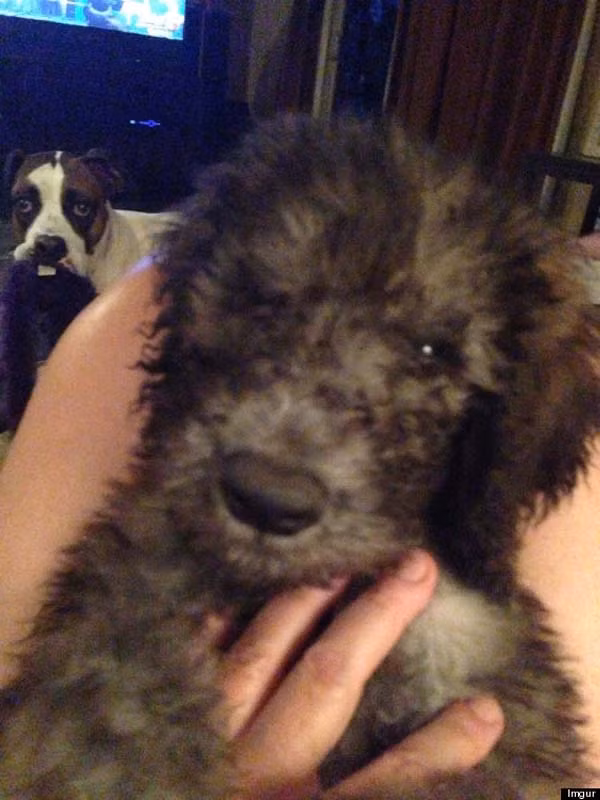 Cũng phải cố làm mặt đơ như quả bơ chen vào ảnh mới được!