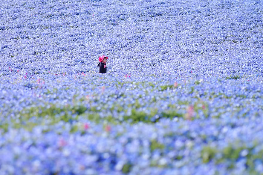 Đối với dân mê du lịch và nhiếp ảnh thì nơi đây đúng là thiên đường để thỏa mãn niềm đam mê và thể hiện tài năng cũng như sự sáng tạo.