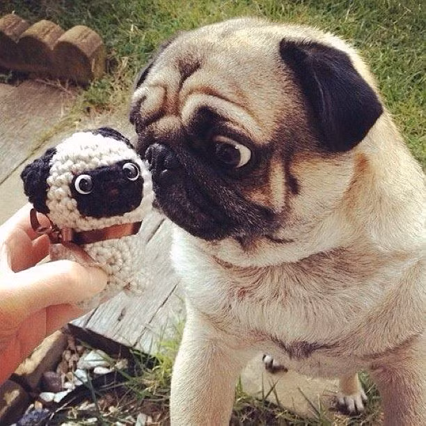 Sao giống em thế được.