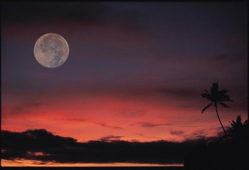 Địa điểm đón bình minh sớm nhất trên trái đất đó là Fiji, nằm đúng trên đường kinh tuyến 180 độ. Ngoài việc được đón bình minh sớm nhất trái đất, các khách du lịch đến với Fiji còn được tận hưởng biển xanh với những bãi cát trắng mịn trải dài.