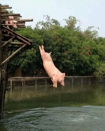 Mình hết chịu được nóng rồi!