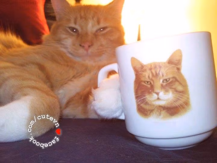 Giống em quá các bác ơi!