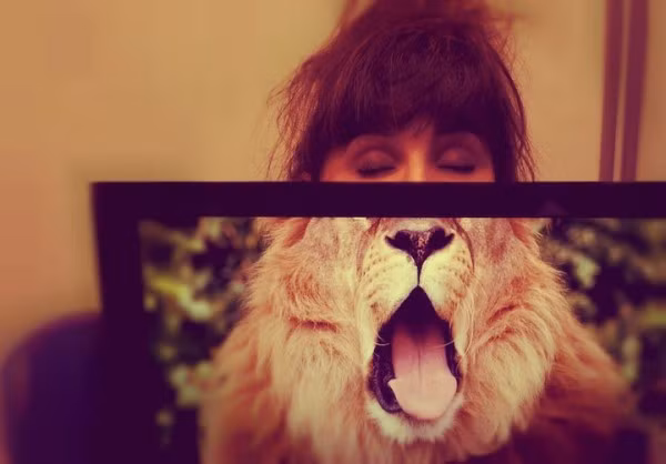 Nào mình cùng ngáp!