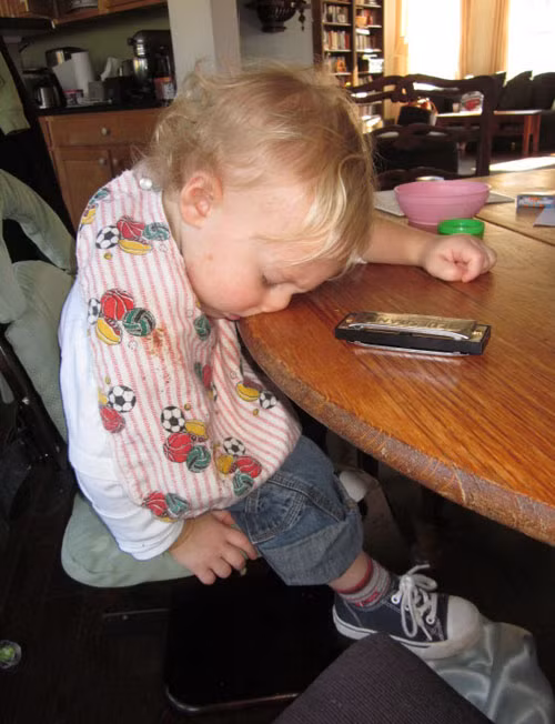 Chưa ăn xong đã ngủ...