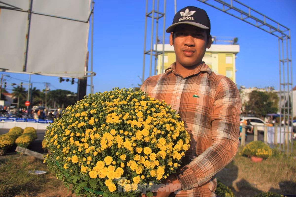 Cuc no qua som, chu vuon khoc rong ban thao truoc-Hinh-7