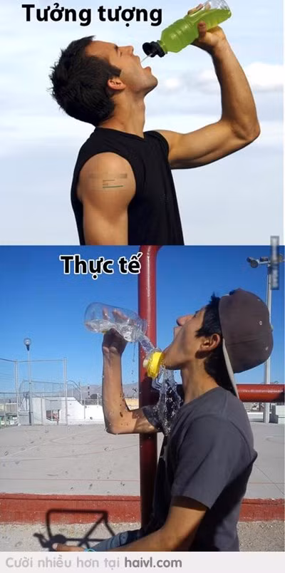 Tưởng tượng và thực tế.