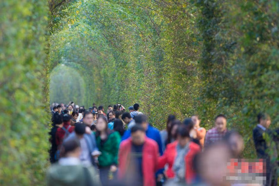 Hơn nữa, trong trường hợp có sự cố đáng tiếc, hoặc là một tai nạn bất ngờ xảy ra, công ty có trách nhiệm duy trì, theo dõi sẽ phải chịu trách nhiệm trả khoản tiền bồi thường khổng lồ.