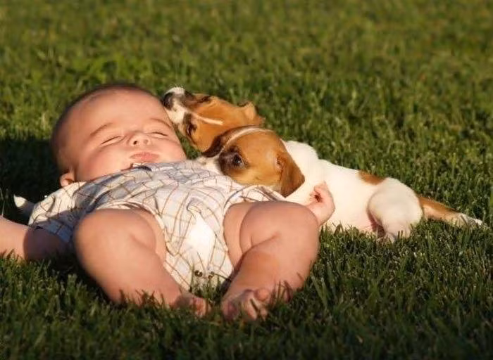 Chúng tôi sẽ ru cậu ngủ, ngủ ngon nhé cậu bé!