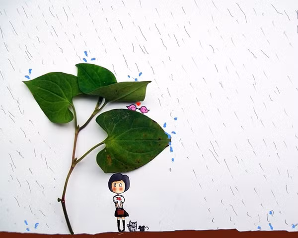 Cô gái trú mưa dưới "tán" cây rau diếp cá.