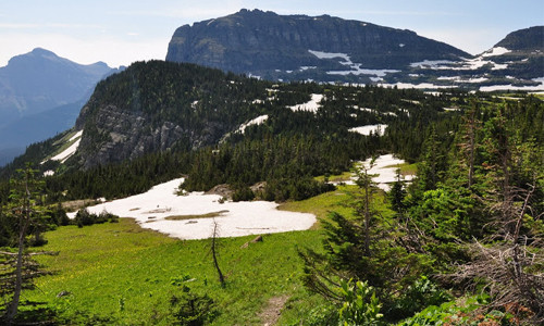 Trong đó có 4 dạng địa hình phố biến nhất là: núi, hồ và sông băng. Cũng chính địa hình này giúp cho nơi đây có nhiều kiểu khí hậu. Vườn quốc gia Glacier được mệnh danh là “Vương miện của các hệ sinh thái lục địa”, tất cả đều là hệ sinh thái hoang dã nguyên sơ