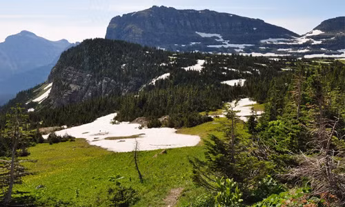 Trong đó có 4 dạng địa hình phố biến nhất là: núi, hồ và sông băng. Cũng chính địa hình này giúp cho nơi đây có nhiều kiểu khí hậu. Vườn quốc gia Glacier được mệnh danh là “Vương miện của các hệ sinh thái lục địa”, tất cả đều là hệ sinh thái hoang dã nguyên sơ