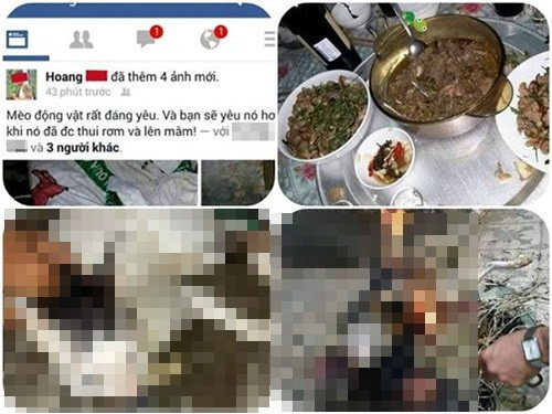 Hình ảnh làm thịt một con mèo và khoe khoang trên facebook của một thanh niên do fanpage Beat chia sẻ lại đang hứng chịu búa rìu của dư luận.