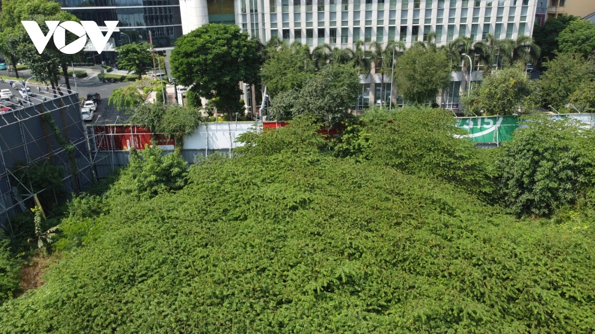 Hiện tại, sau nhiều năm bị bỏ trống, bên trong khu đất cỏ cây mọc um tùm, khu đất vẫn trong tình trạng hoang hóa, 4 phía được rào chắn.