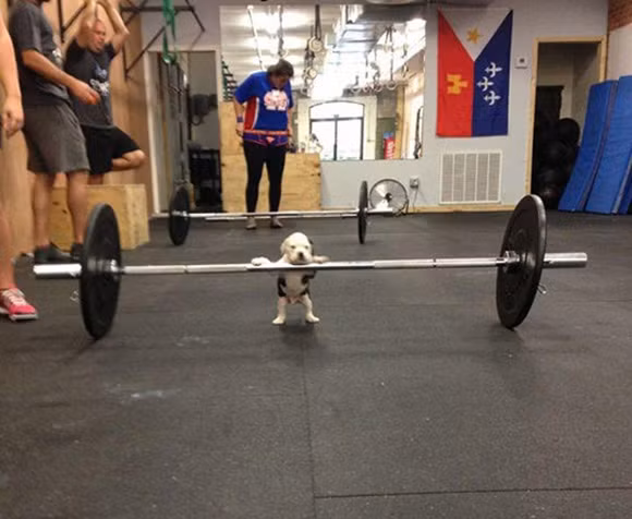 Nhìn em đây mà học tập, các anh trình còn non lắm!