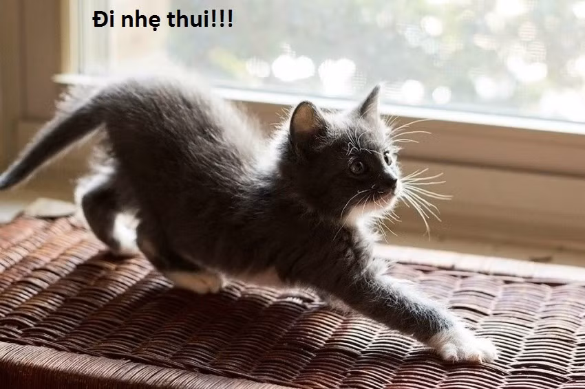 Mẹ bảo là con gái thì phải tập đi nhẹ, nói khẽ, cười duyên.