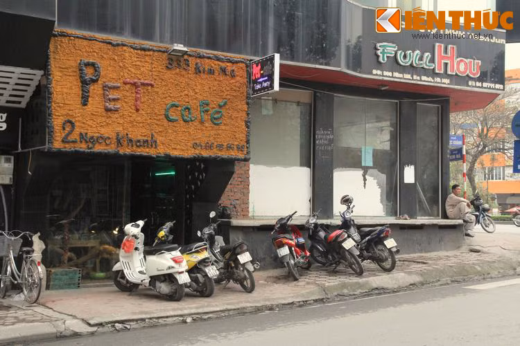 Nếu là lần đầu tiên nghe tới tên Pet Cafe số 2A Ngọc Khánh (Hà Nội) hẳn không ít người nghĩ đây là nơi để thưởng thức đồ uống và thư giãn bên cạnh những chú cún con hay cô mèo xinh xắn.