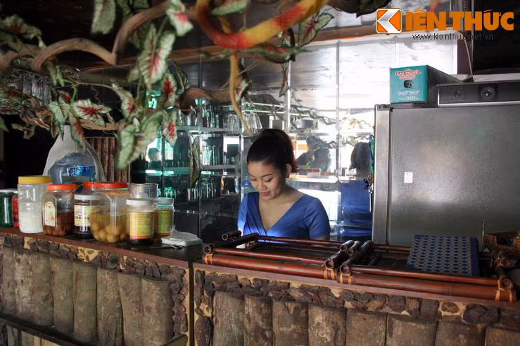 Chị Vân Anh - bà chủ của Pet cafe cho hay những loại bò sát đặc biệt như thế này được mua từ tận bên Thái Lan chứ ở Việt Nam thì rất khó kiếm, thậm chí một số con còn không có để mà mua.