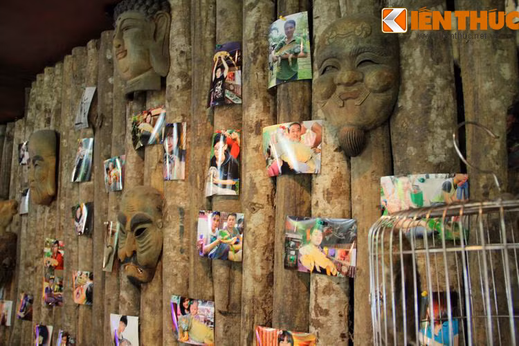 Không chỉ là nơi cung cấp dịch vụ thức uống, Pet cafe còn là địa chỉ quen thuộc của dân chơi bò sát thuộc Câu lạc bộ Pet Club. Trong các buổi sinh hoạt định kì, mỗi thành viên đều thường mang đến những con vật nuôi độc đáo của mình để chia sẻ và giao lưu với bạn bè.