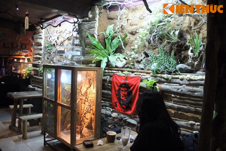 Tuy nhiên, khi bước vào bên trong, nhiều người sẽ cảm thấy có phần e sợ bởi bao quanh mình là một không gian kì quái, bí hiểm xen lẫn những âm thanh của nhạc điện tử đầy ám ảnh, man dại.