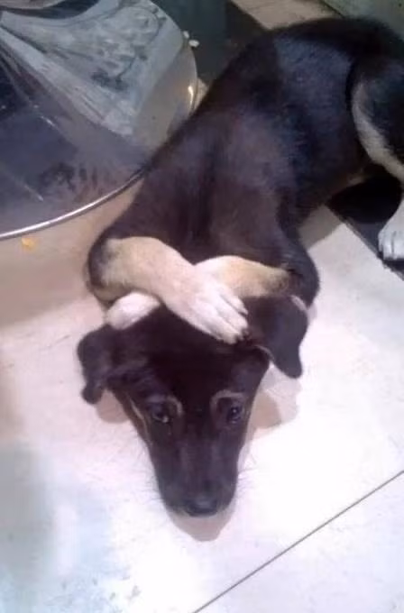 Vắt "tay" lên trán suy nghĩ.