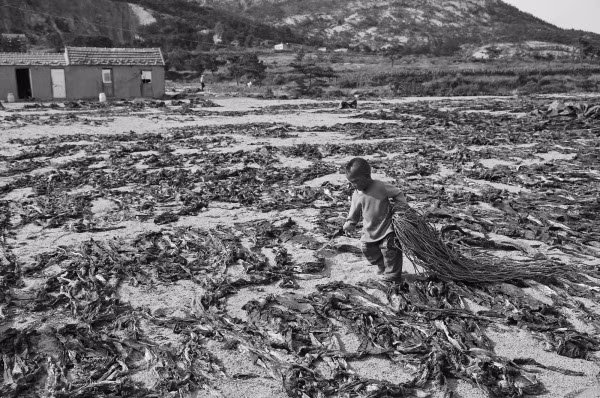 Khi bộ ảnh được đăng tải, đã thu hút được rất nhiều sự chú ý của cư dân mạng và gây được sự xúc động trong dư luận. Rất nhiều cư dân mạng đã không cầm được nước mắt khi xem những hình ảnh này: "Những đứa trẻ này thực sự có quá khổ. Tôi không thể ngăn được nước mắt của mình. Các em bé ở đây, vẫn còn rất nhỏ nhưng đã có để chăm sóc những đứa trẻ thậm chí còn nhỏ hơn. Trẻ em như thế này, thật sự là đau lòng", một cư dân mạng bình luận.