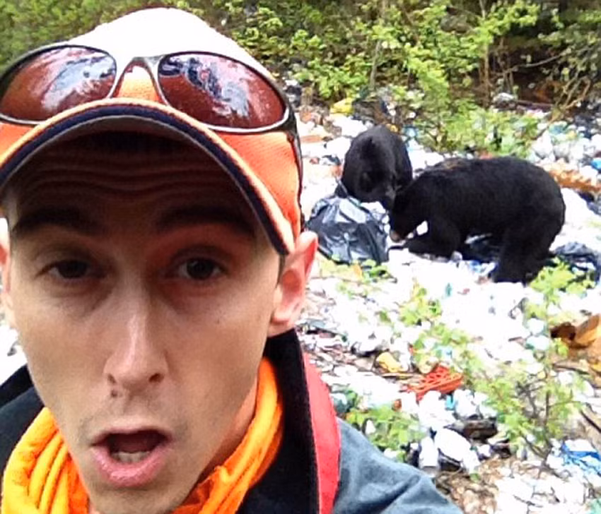 Một giám sát rừng có tên Nancy Gibson chia sẻ: "Gấu đen là loài động vật hoang dã, khá hung dữ khó đoán và có thể tấn công người nếu cảm thấy bị đe dọa".