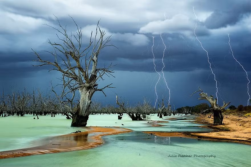 Nhiếp ảnh gia Fletcher đã bắt được vẻ đẹp hùng vĩ của khu vực phía Nam xa xôi của Australia trong những thời gian đẹp nhất của nó.