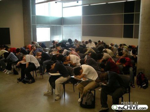 Học hành vất vả!