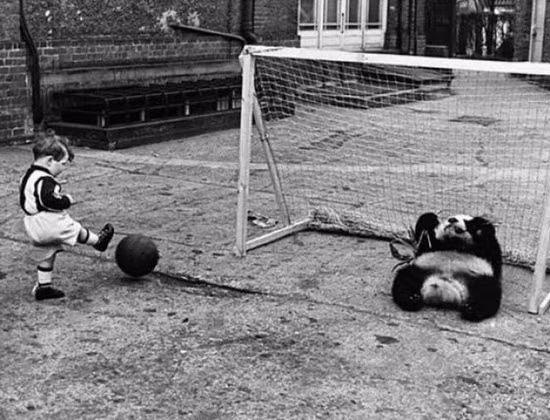 Bắt bóng đi nào!