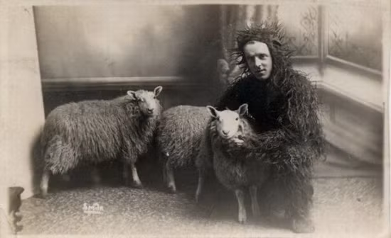 Hóa trang giống động vật.