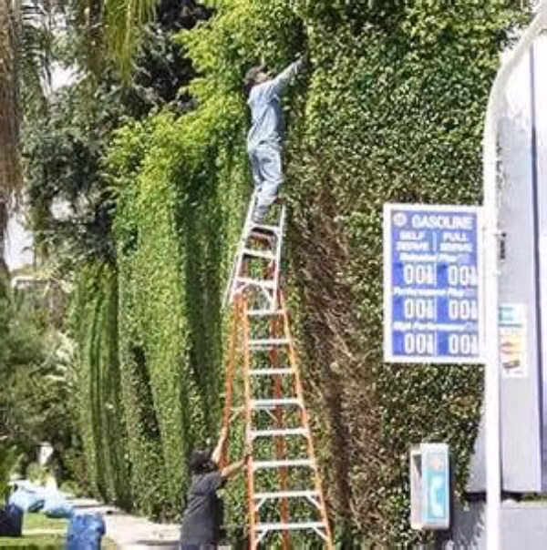 Tỉa đẹp vào anh à.