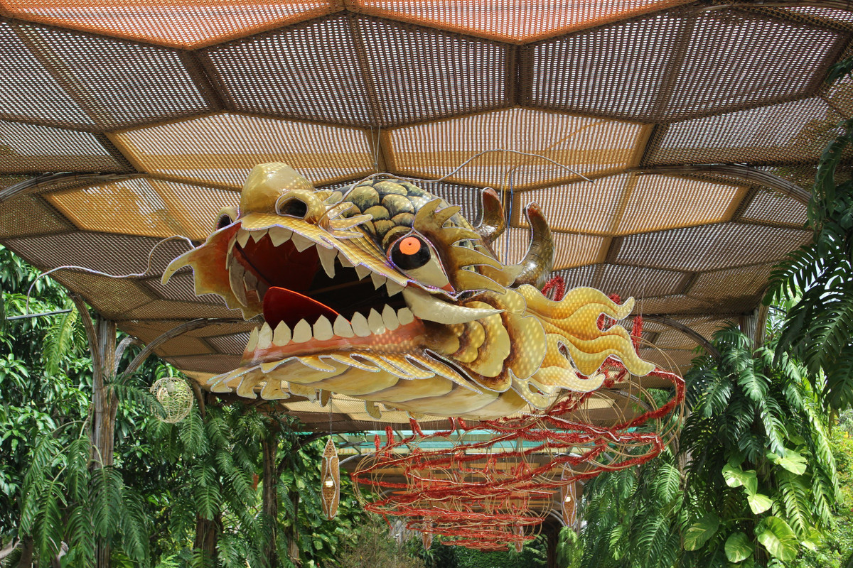 Doc dao linh vat rong o Nha Trang-Hinh-7