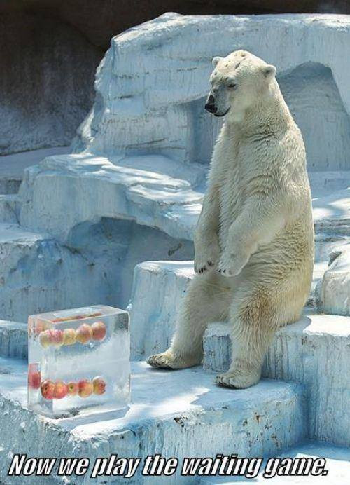 Kiên nhẫn nào? Kiên nhẫn nào?