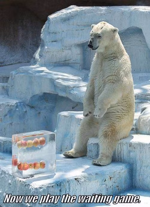 Kiên nhẫn nào? Kiên nhẫn nào?