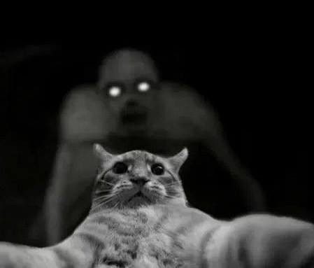 Sau lưng em là con gì vậy cả nhà?