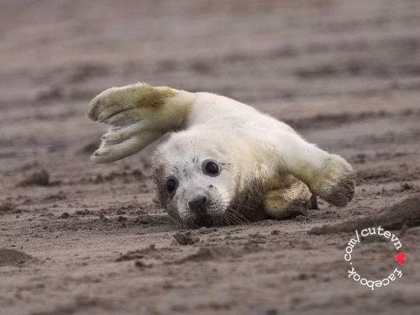 Í, em bị té rùi.