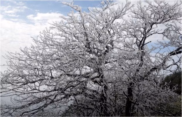 Cùng với Sapa, Mẫu Sơn là địa điểm mà du khách khó có thể bỏ qua cho mùa đông. Nằm ở độ cao 1541 mét so với mực nước biển, thời tiết của Mẫu Sơn có thể rơi xuống âm 2-3 độ và thường xuất hiện băng tuyết. Chính điều đó đã cuốn hút du khách đến Mẫu Sơn. 