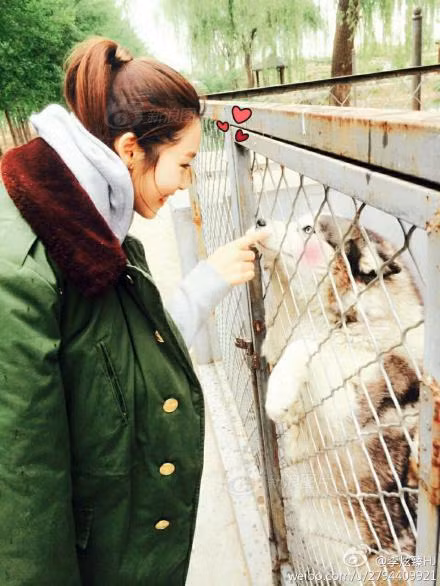 Các tài khoản trên mạng xã hội mà Lee Hyun Zhen sử dụng hiện nhận được rất nhiều lượt like, theo dõi và số lượng vẫn không ngừng tăng.