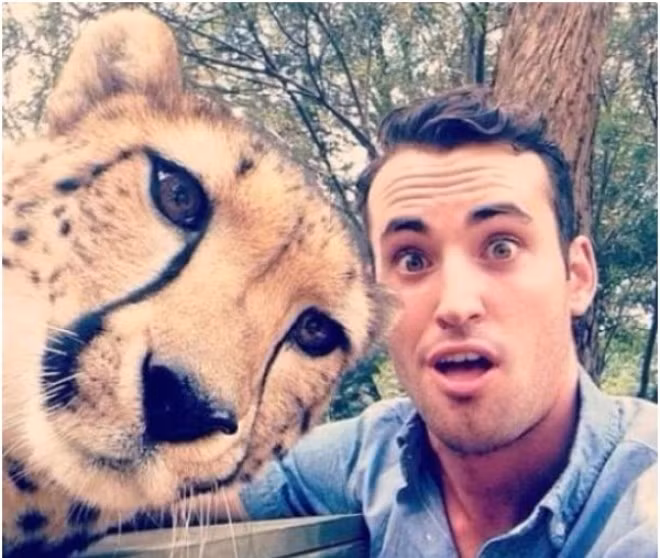 Chụp ảnh tự sướng với thú hoang hung dữ cũng là một trào lưu của giới trẻ năm 2014.