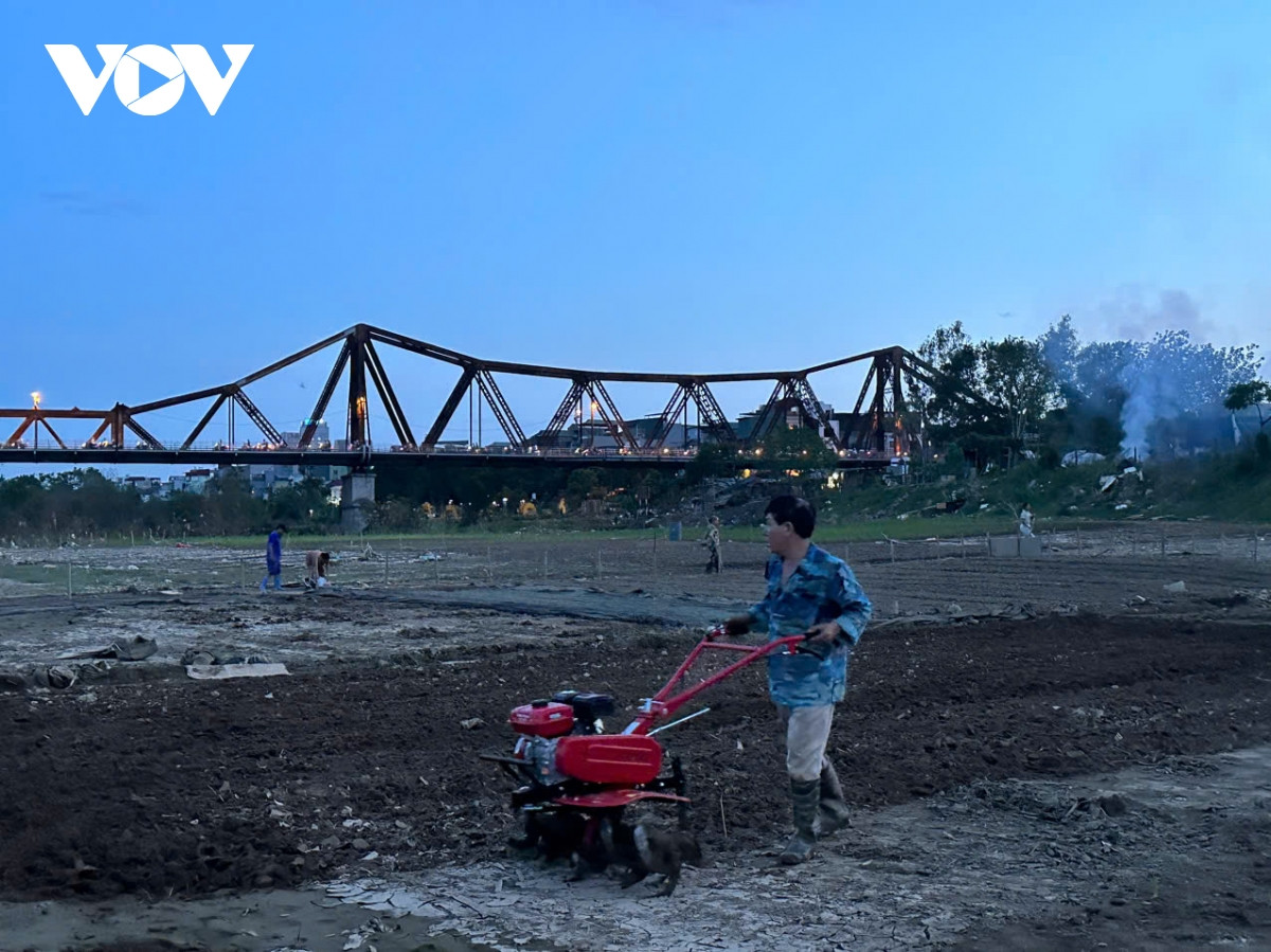 Dù trời đã chuyển nhá nhem, nhiều người vẫn cố gắng làm tiếp cho xong rồi về, nhà nào xong trước thì sang làm hộ những nhà chưa xong để cùng nhau về sớm ăn cơm.