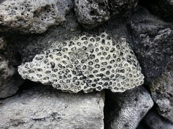 Vi sao bay gio trai dat lai la 24 gio?-Hinh-2