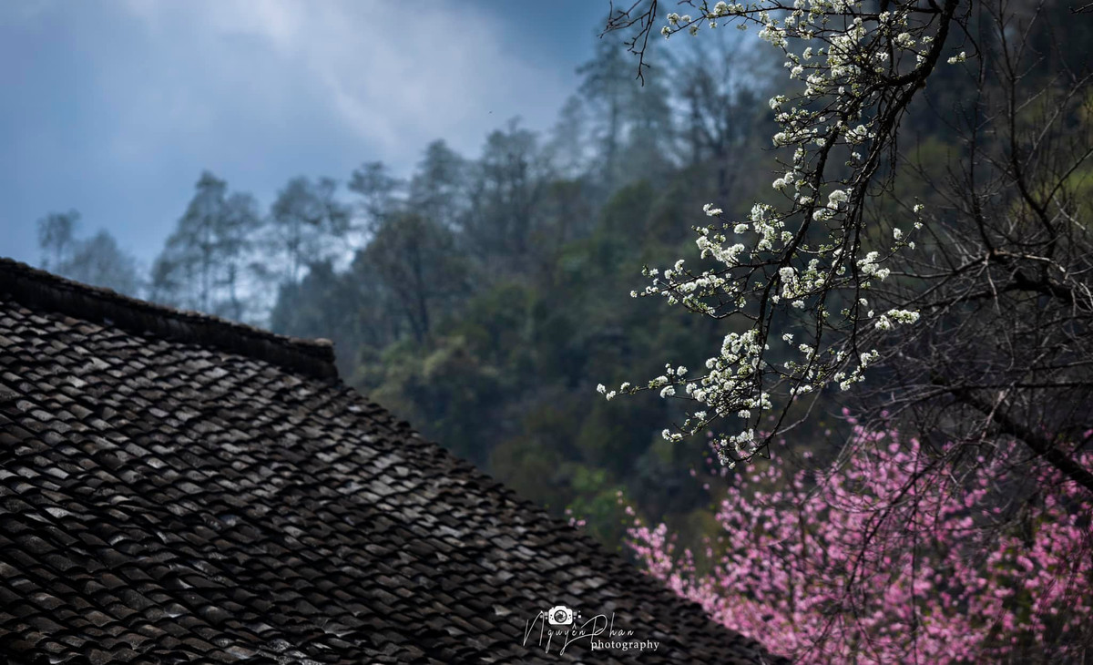 Ha Giang: Dep nao long mua Xuan o Lao Xa