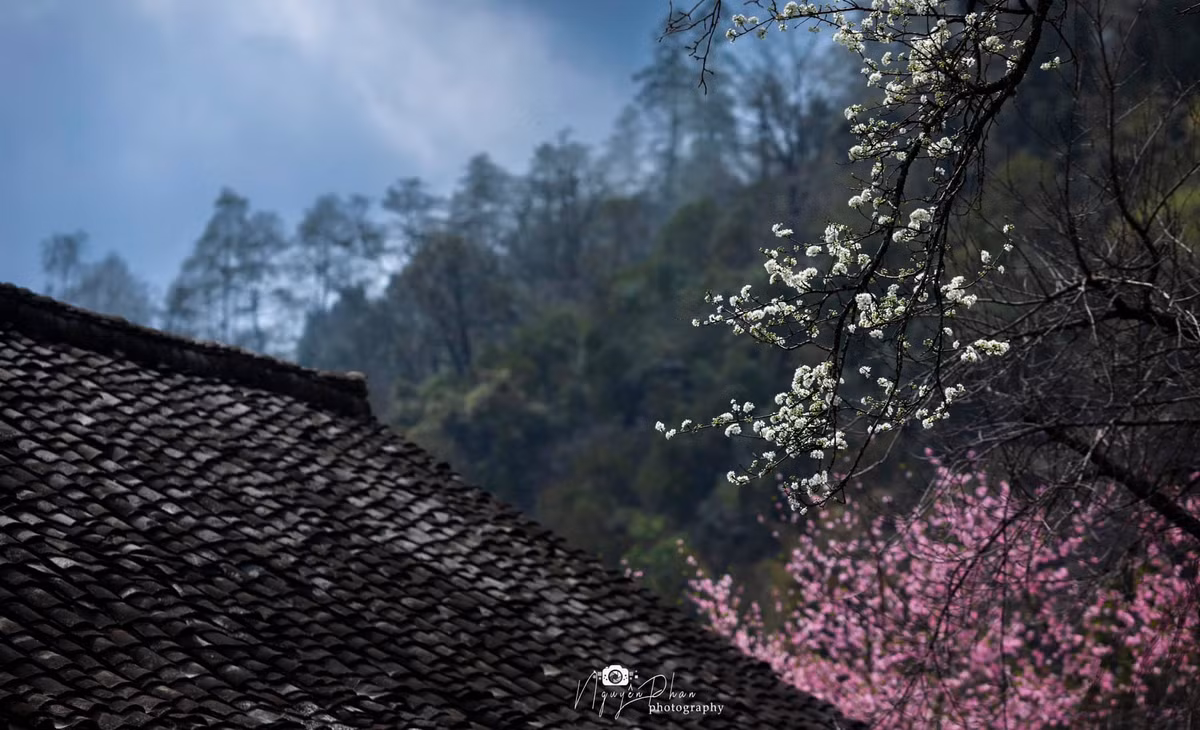 Ha Giang: Dep nao long mua Xuan o Lao Xa