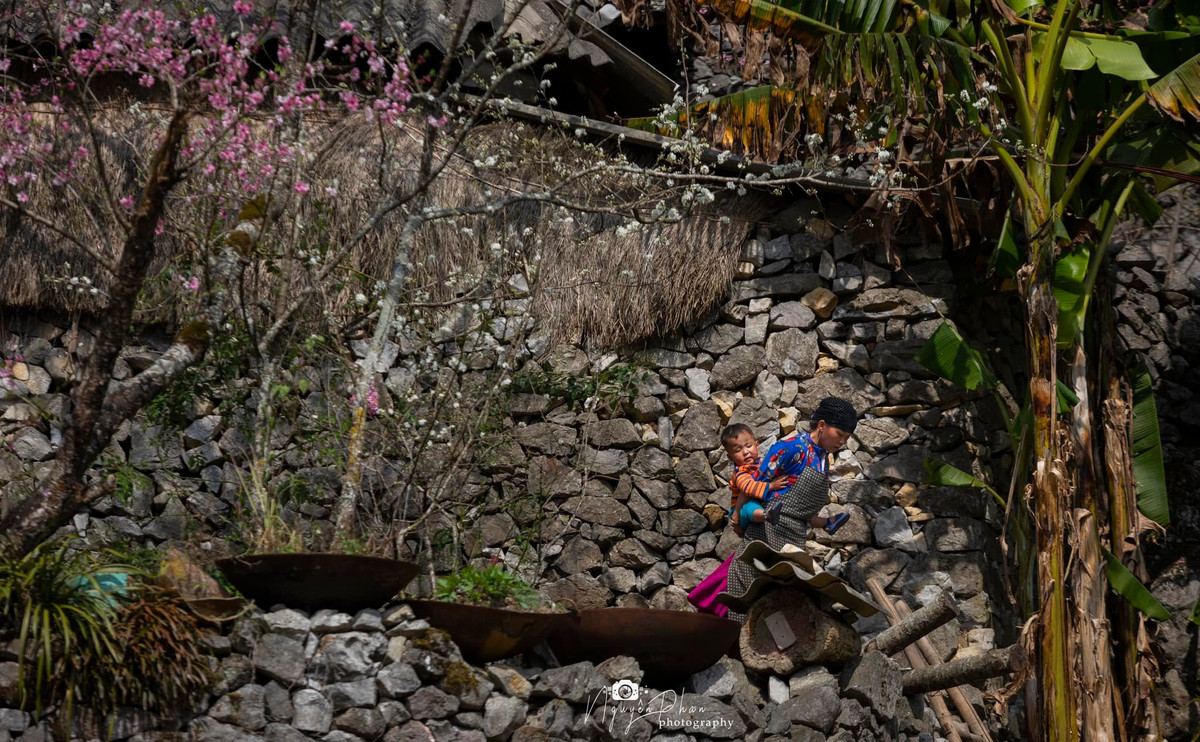 Ha Giang: Dep nao long mua Xuan o Lao Xa-Hinh-4