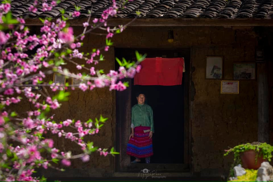 Ha Giang: Dep nao long mua Xuan o Lao Xa-Hinh-5