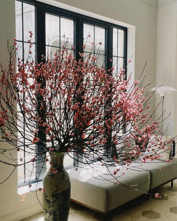 Ngo ngang Diem My 9x khoe co ngoi duoc bo me chong tang-Hinh-2