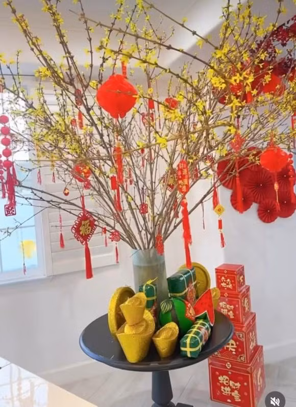 Pham Huong trang hoang long lay ben trong can biet thu xin xo