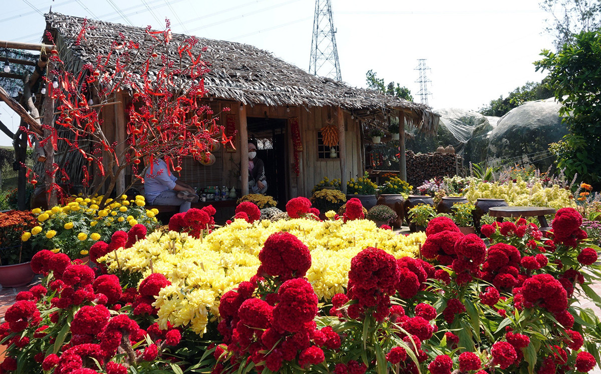 Co gai 25 tuoi dung khu vuon 1500m2 nhu co tich-Hinh-3