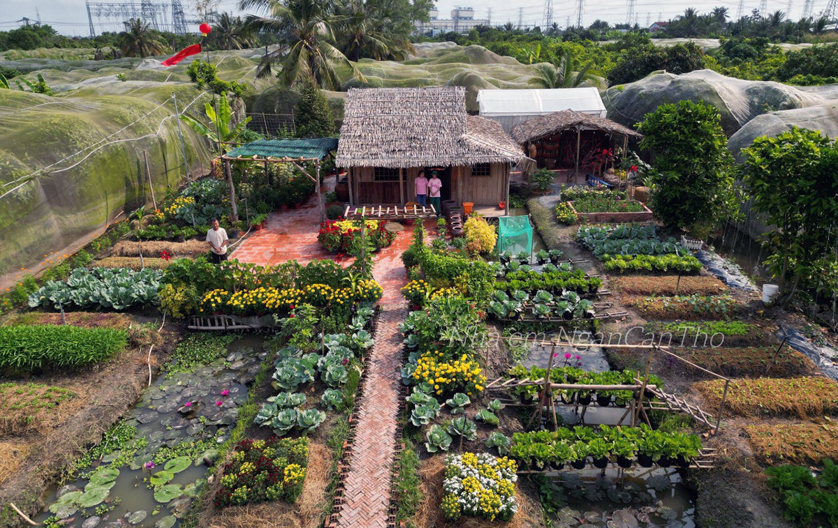 Co gai 25 tuoi dung khu vuon 1500m2 nhu co tich